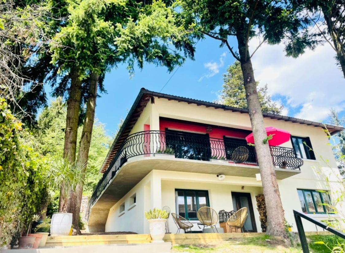 Bed and Breakfast La Madeleine Amplepuis Exterior foto